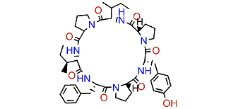 Phakellistatin 1